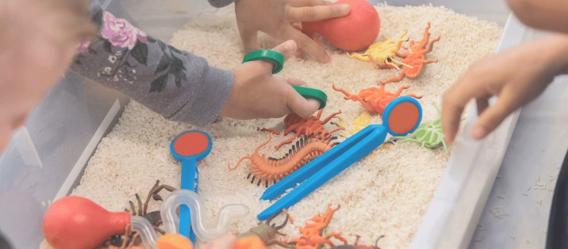 Activity Planning and the Developmental Domains Blog